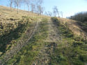 Chalk grassland damage by vehicles