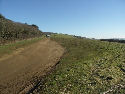 Chalk grassland damage by vehicles