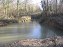 Frozen over woodland pond 